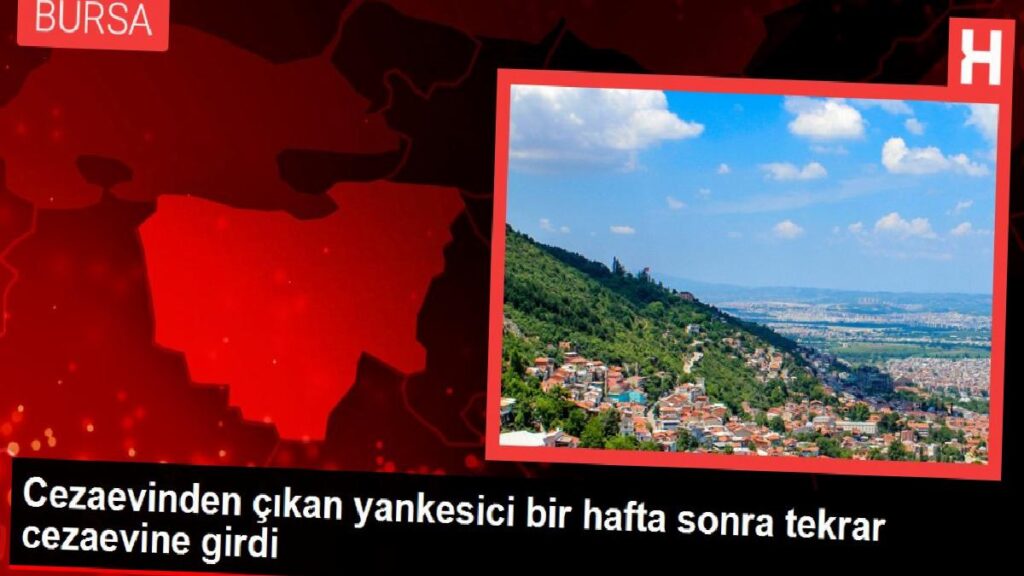 Cezaevinden çıkan yankesici bir hafta sonra tekrar cezaevine girdi
