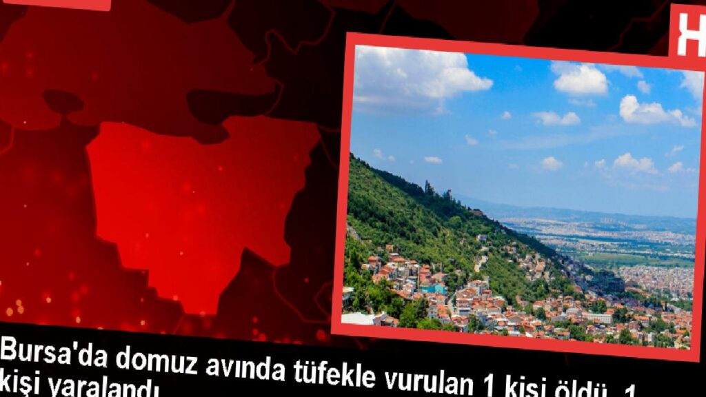 Domuz avında tüfekle ateş edilmesi sonucu bir kişi öldü