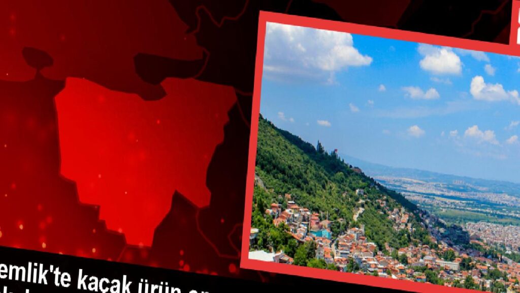 Gemlik’te kaçak eser operasyonu: 2 zanlı gözaltına alındı