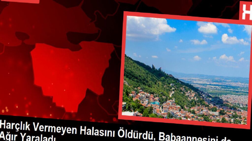 Harçlık Verilmeyen Hala Öldürüldü, Babaanne Ağır Yaralandı