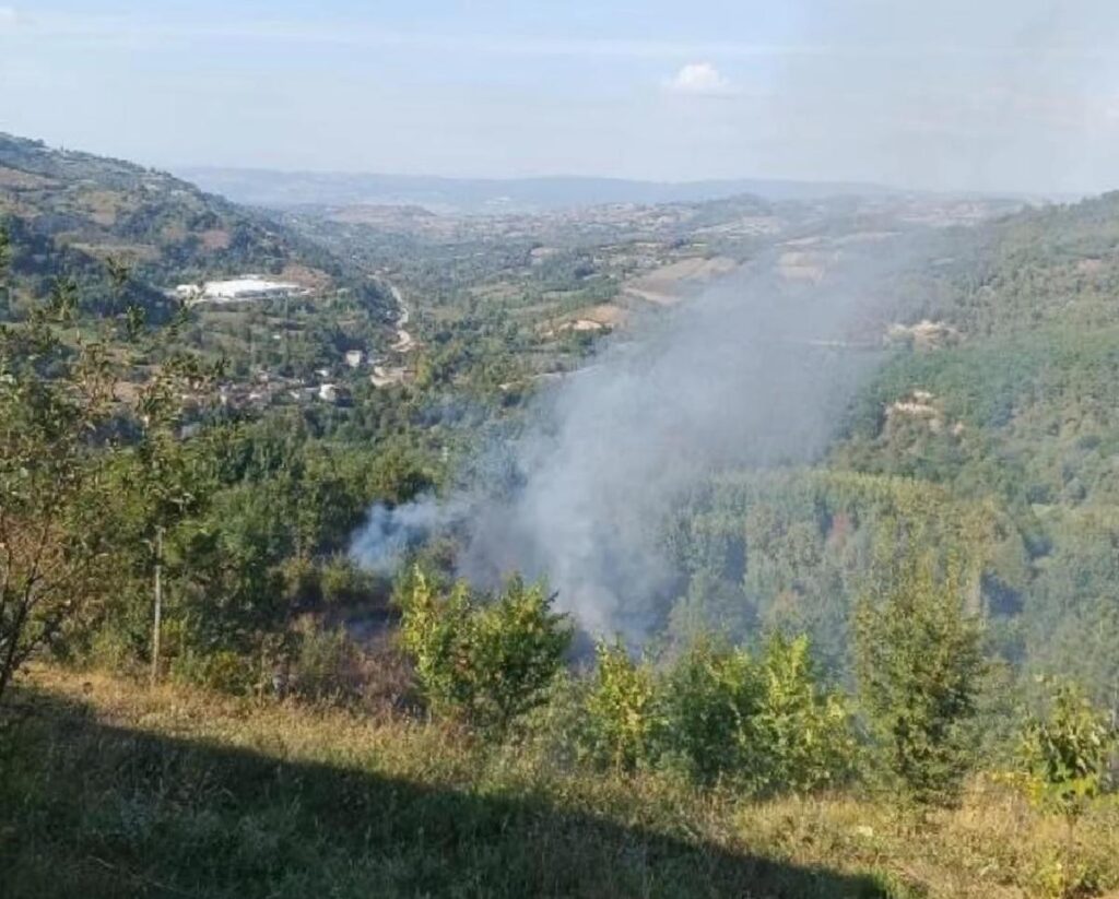 İnegöl’de Bahçe Paklığı Sırasında Yangın: 1 Kişi Hayatını Kaybetti