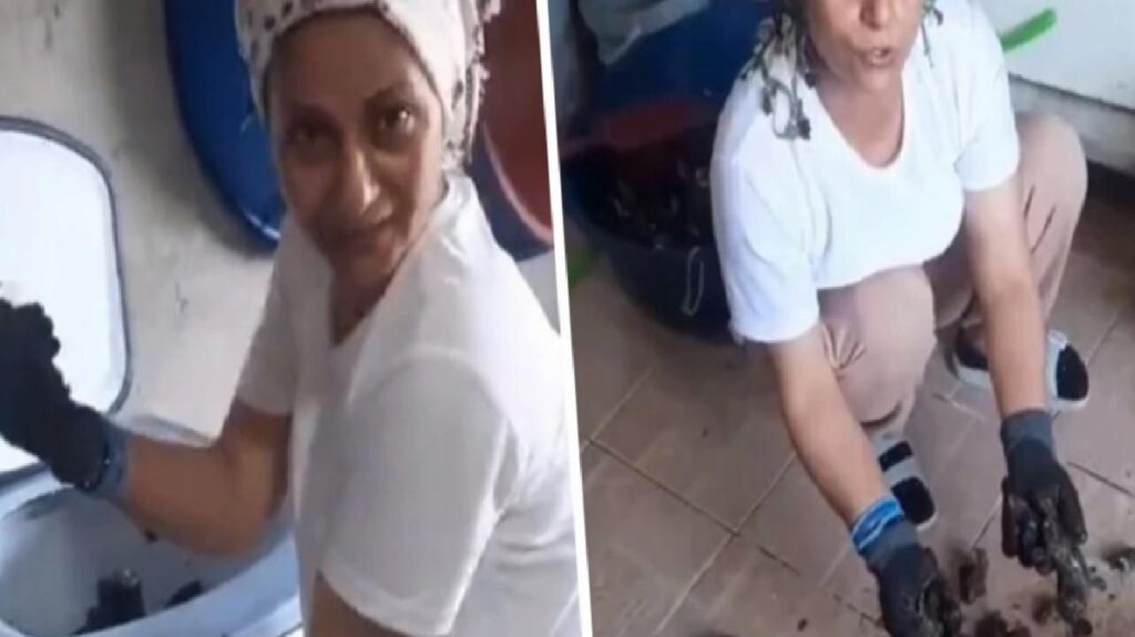 İştahla yediğimiz midyeler ne kadar pak? Yayınlanan bir görüntü sizi hayal kırıklığına uğratacak