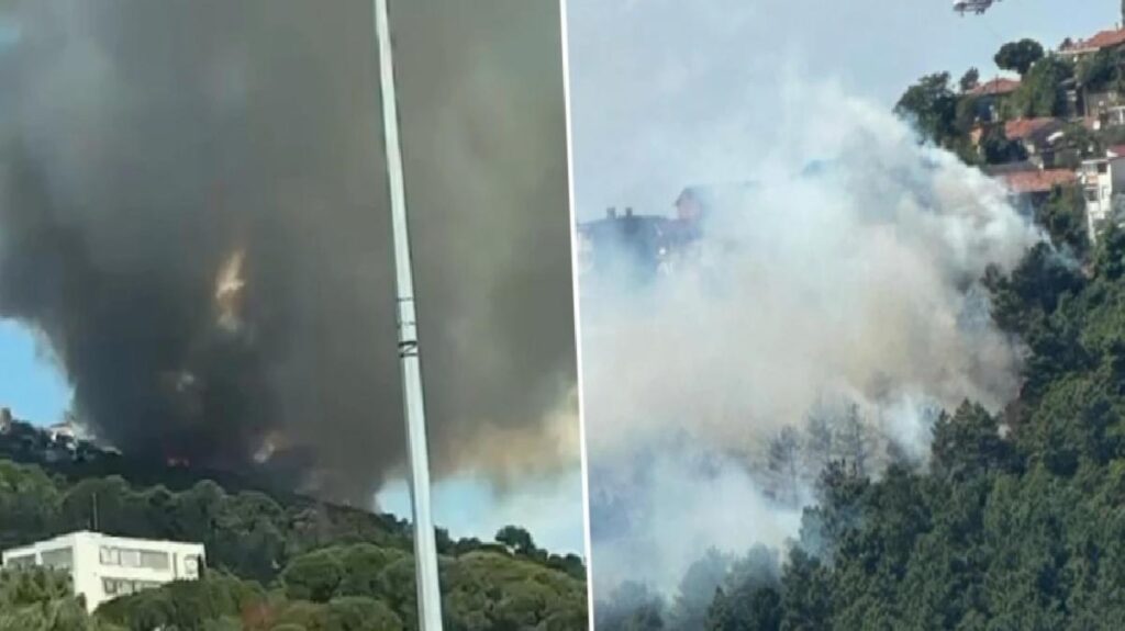 İstanbul Maltepe’de orman yangını! Bölgeye çok sayıda grup sevk edildi