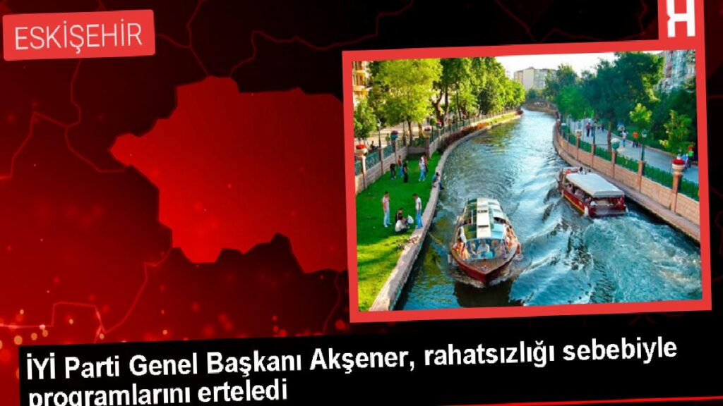 Meral Akşener, viral enfeksiyon sebebiyle programlarını erteledi