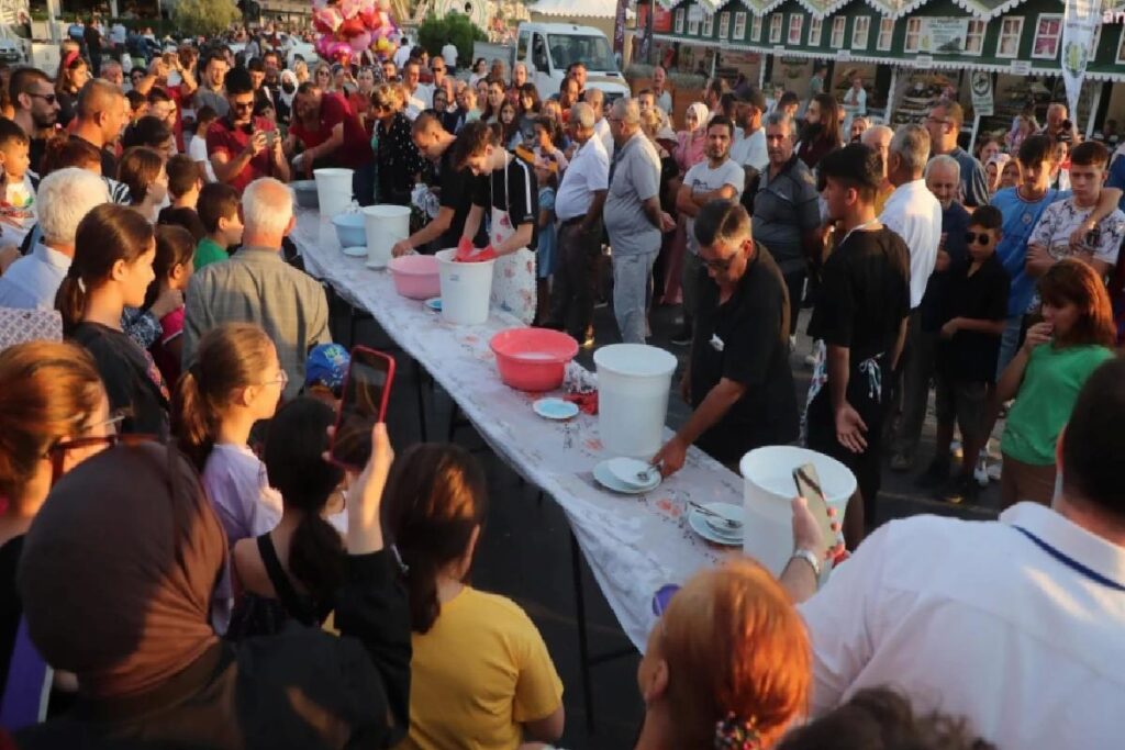 Milletlerarası Gemlik Zeytini Şenliği’nde Göksel coşkusu