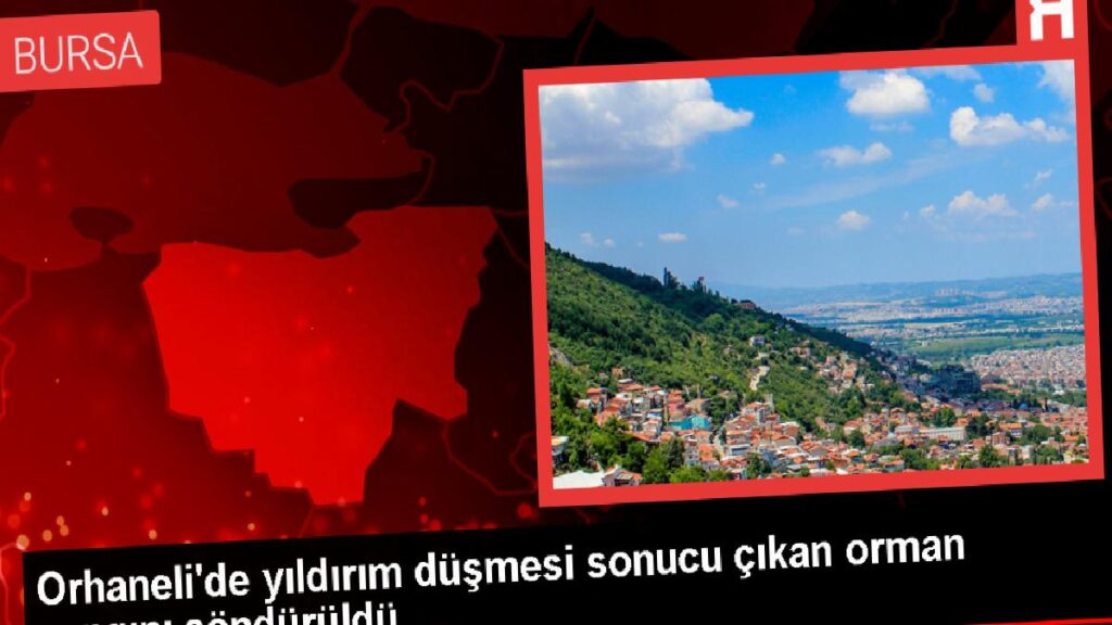 Orhaneli’de Yıldırım Düşmesiyle Başlayan Orman Yangını Söndürüldü