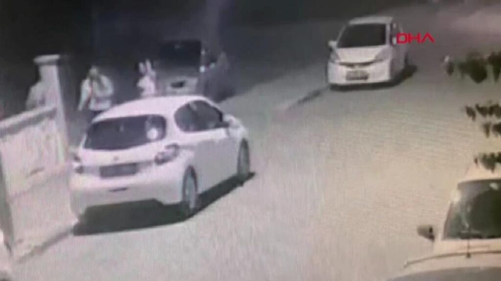 Pitbull Köpek, Sahibinin Evcil Köpeğine Saldırdı: Bayan El Bileğini Kırdı