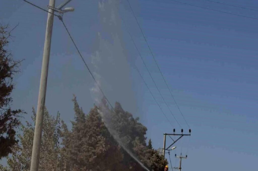 UEDAŞ, denize yakın bölgedeki elektrik şebekesini temizliyor