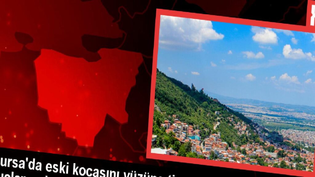 Bursa’da Eski Eşine Tiner Atarak Bıçaklayan Bayanın Davası Başladı