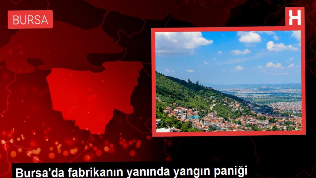 Bursa’da fabrikanın yanında yangın paniği