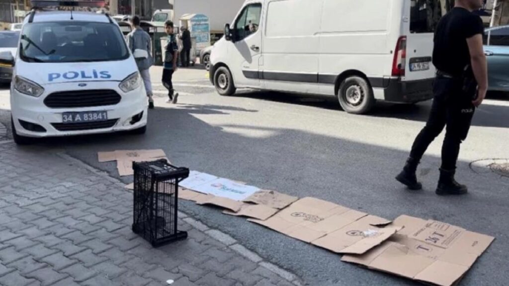 Dikkatsiz şoför 5 yaşındaki çocuğu ezerek öldürdü! Görgü şahitlerinin savı vahim