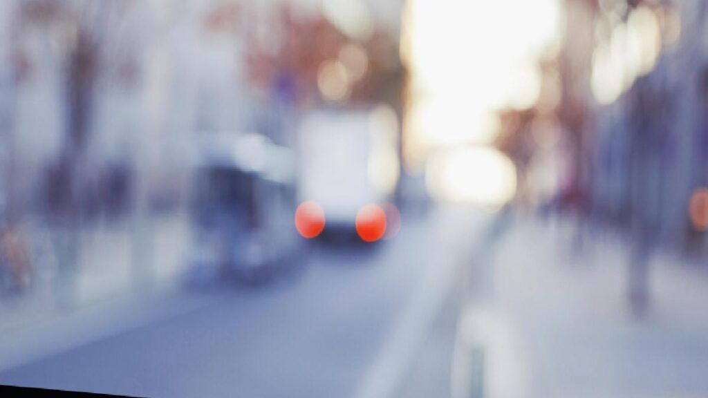 Fransa’da Tahtakurusu İstilası Okullara da Sıçradı