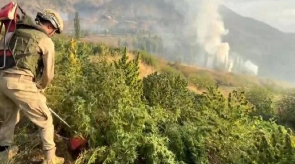 İstanbul, Bursa, Diyarbakır ve Gaziantep’te Narkogüç Operasyonu: 5 Kuşkulu Yakalandı, Yüklü Ölçüde Uyuşturucu Ele Geçirildi