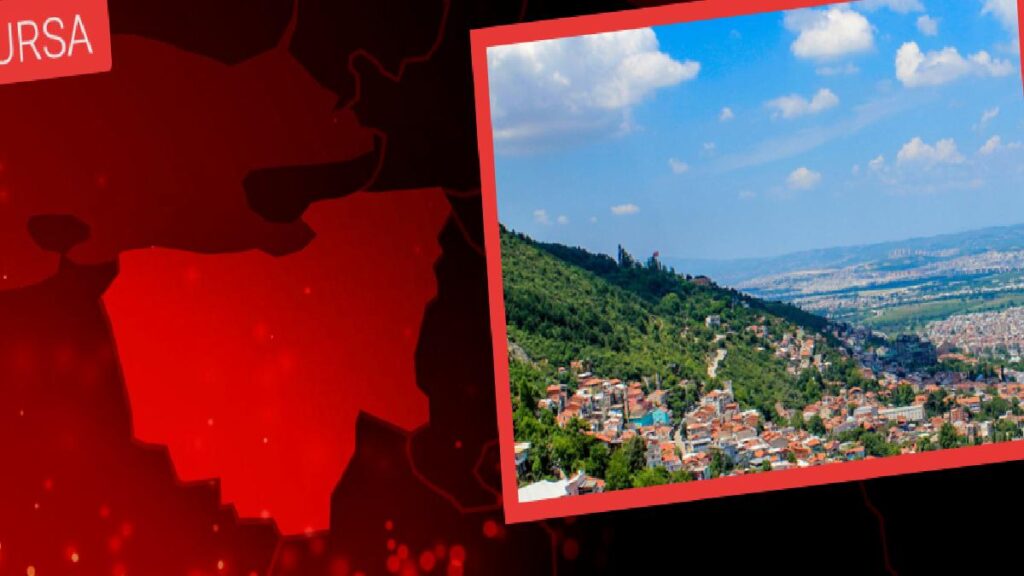 Osmaneli’de Sazan Balığı Tutma Yarışı Düzenlendi