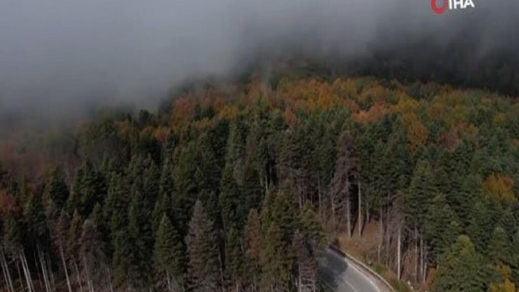 Uludağ’da Sonbahar Şöleni