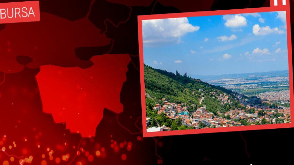 Yaşlı adama çarpan araç şoförü tutuklandı